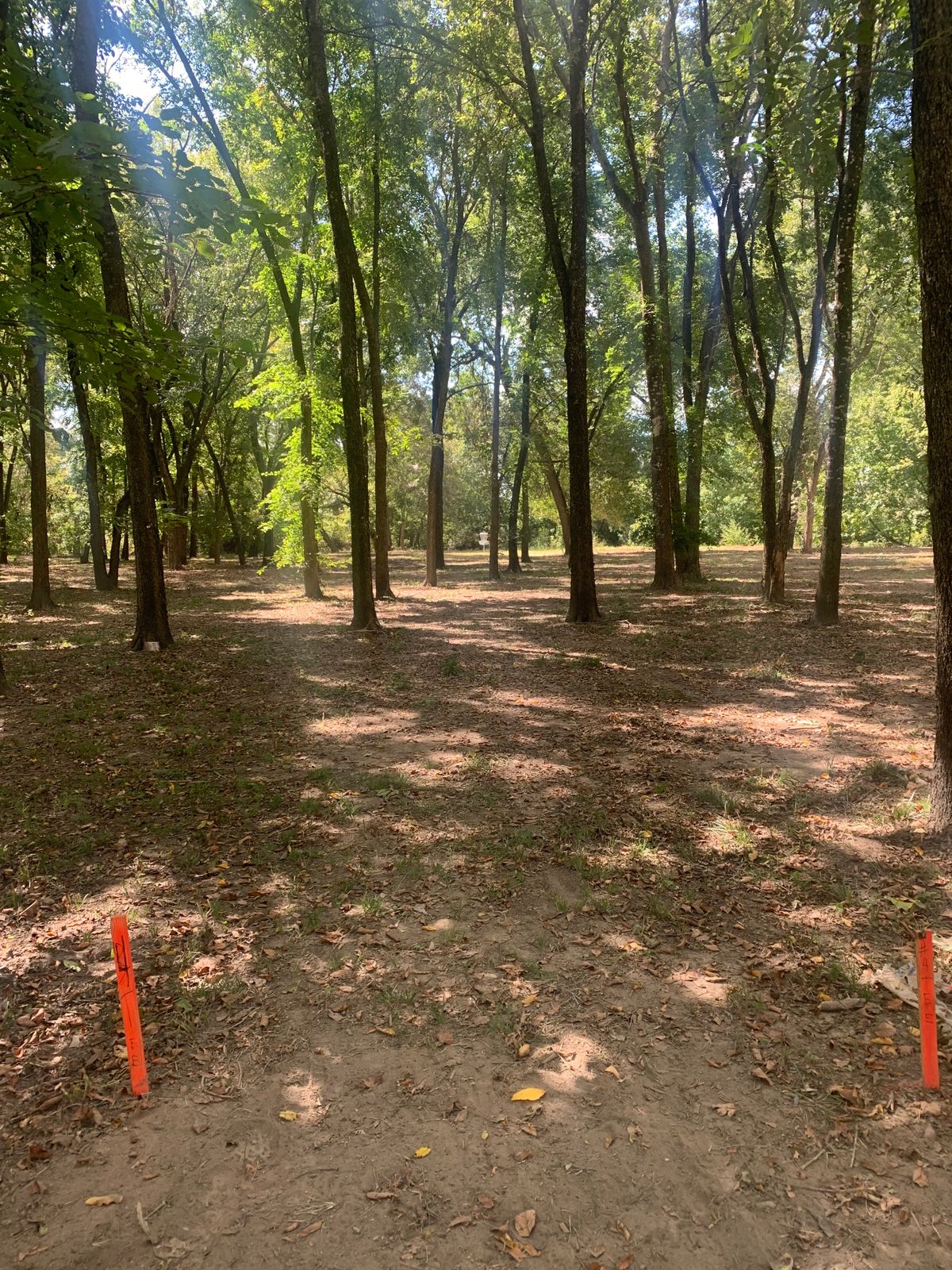 Hole #4 tee