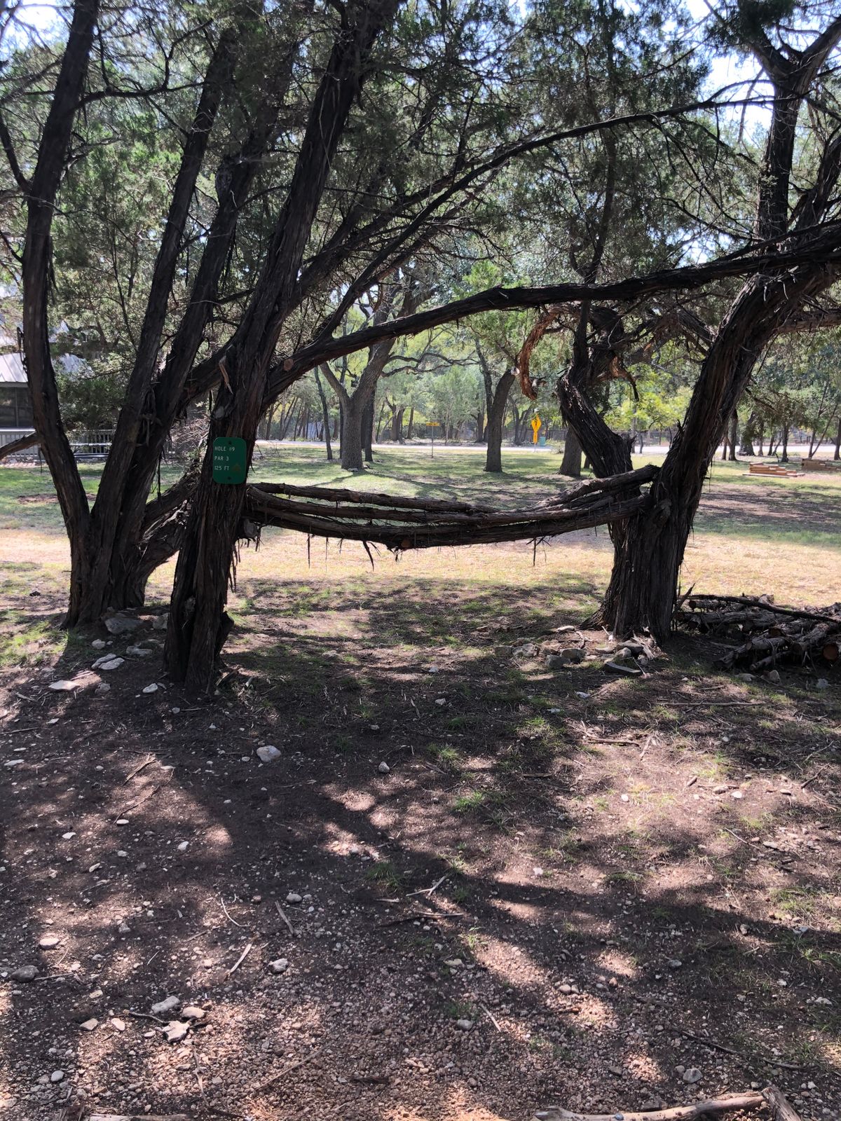 Hole 9