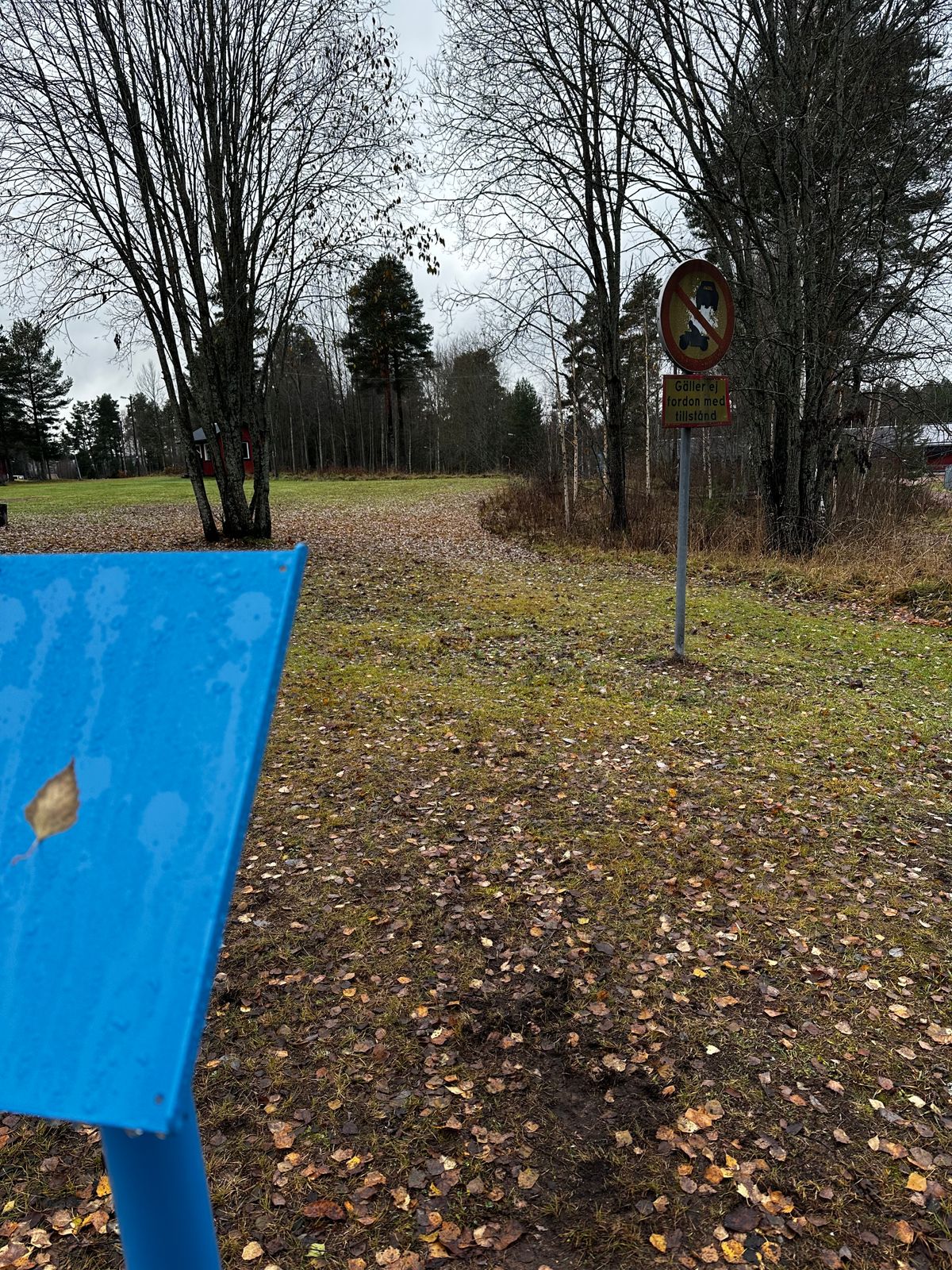 Tee 1
