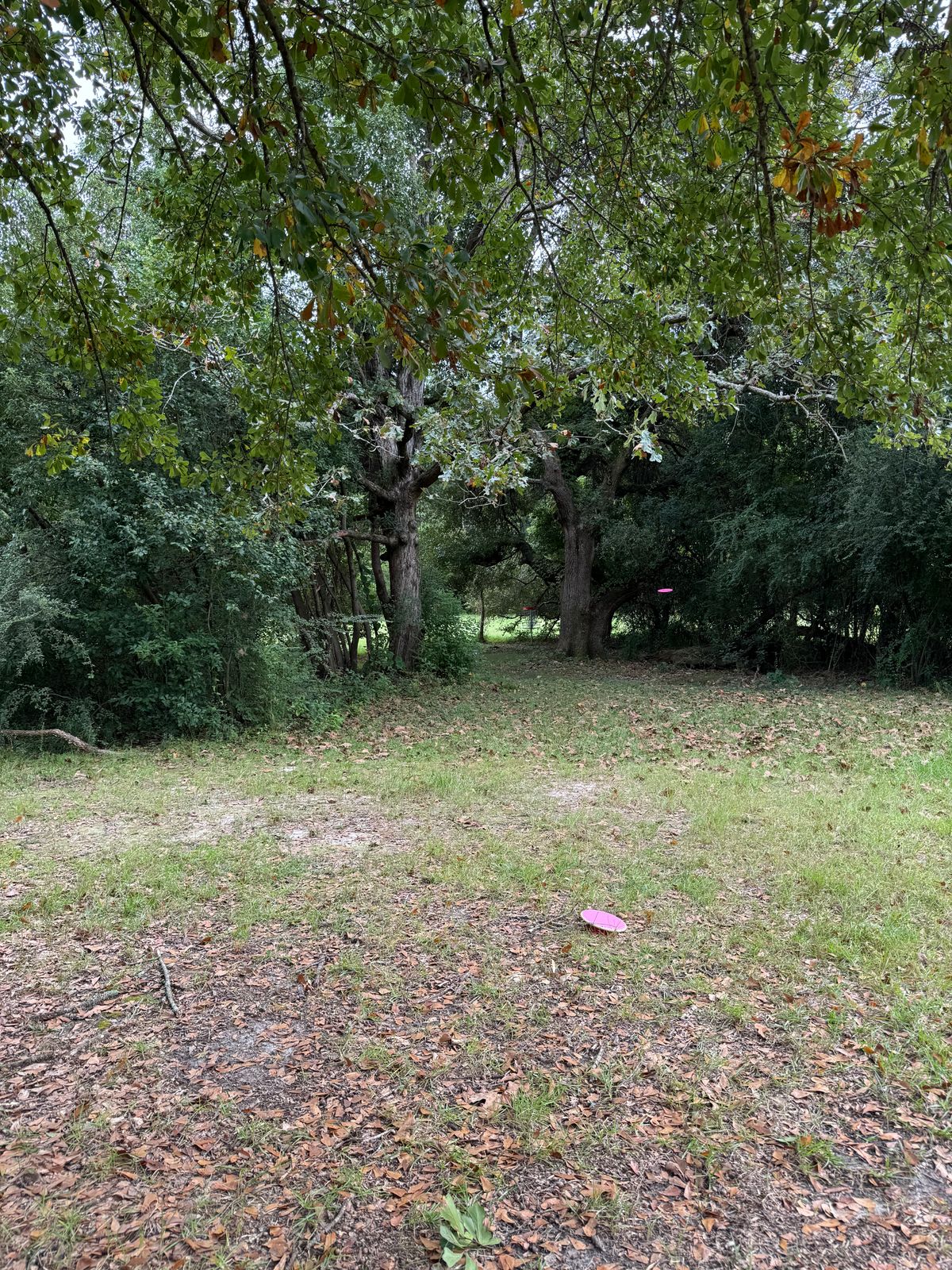 Hole 5 mid fairway