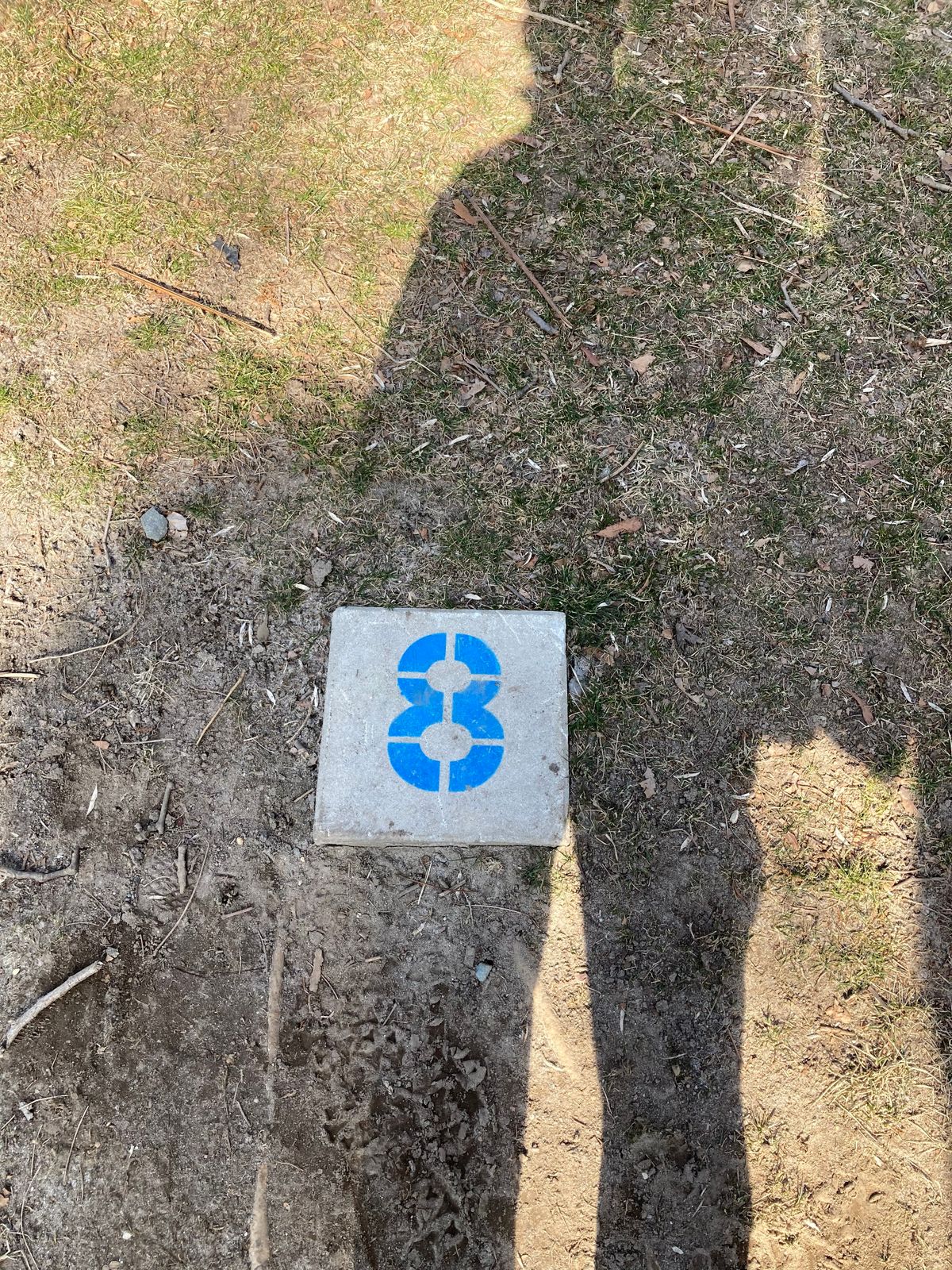 Tee 8