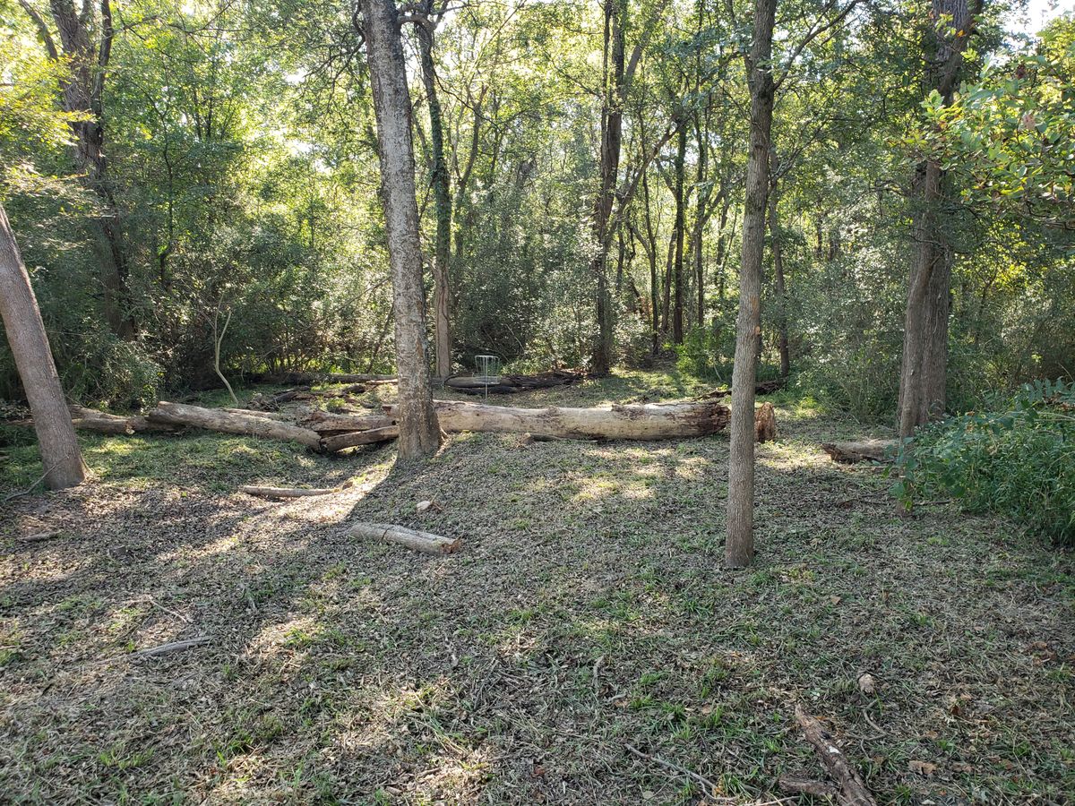 Hole 18 green