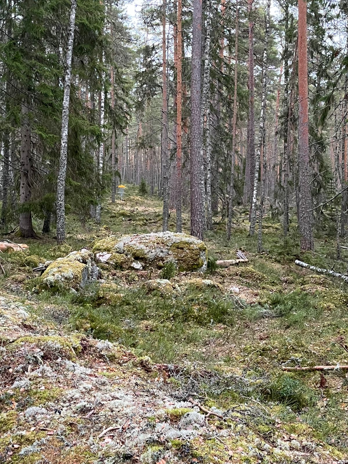 Hål 3