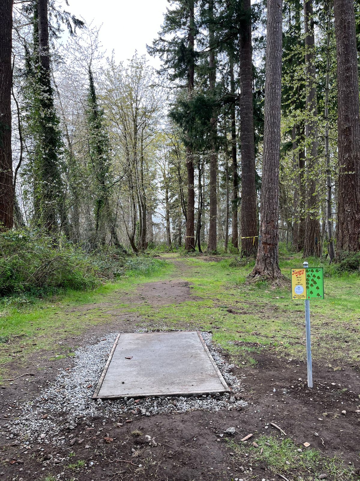 Hole 5