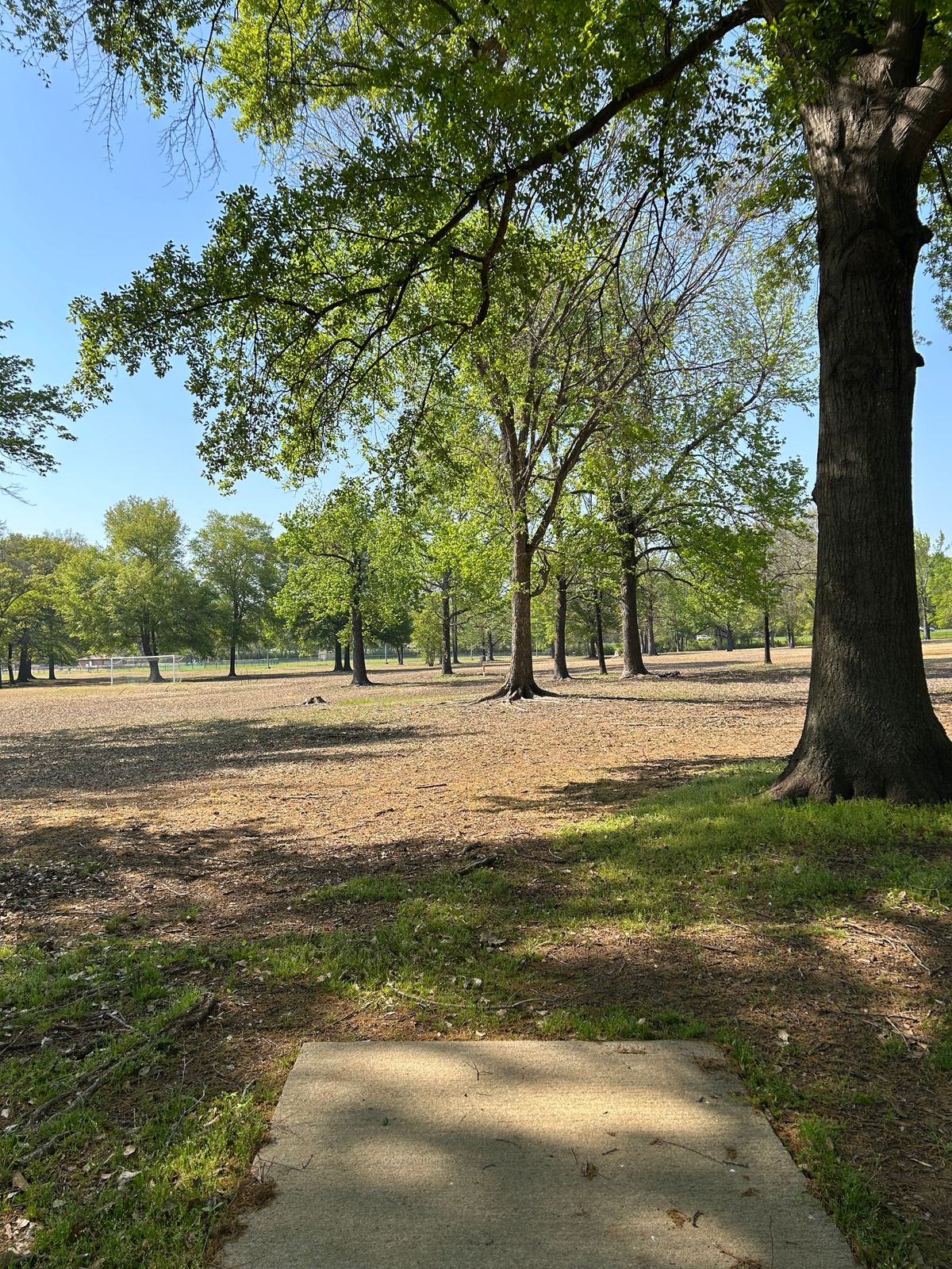 Hole 2