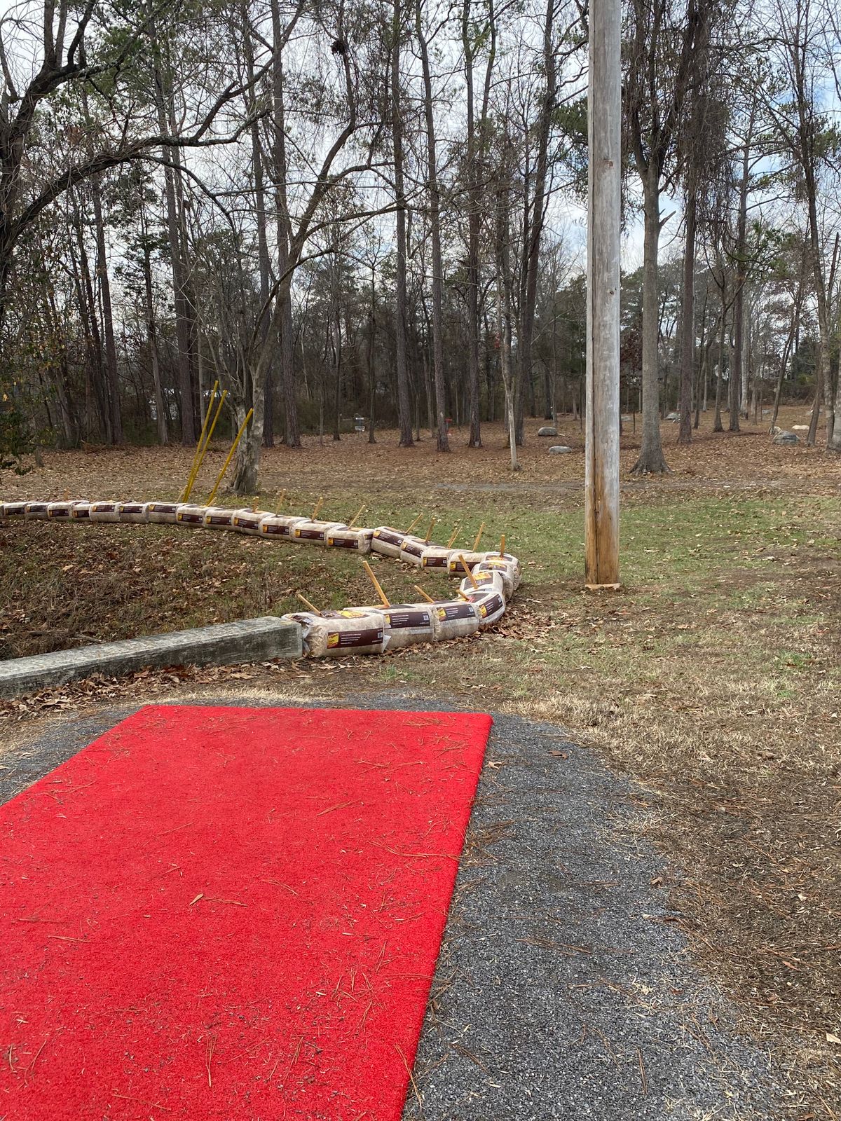 Hole 3 Tee