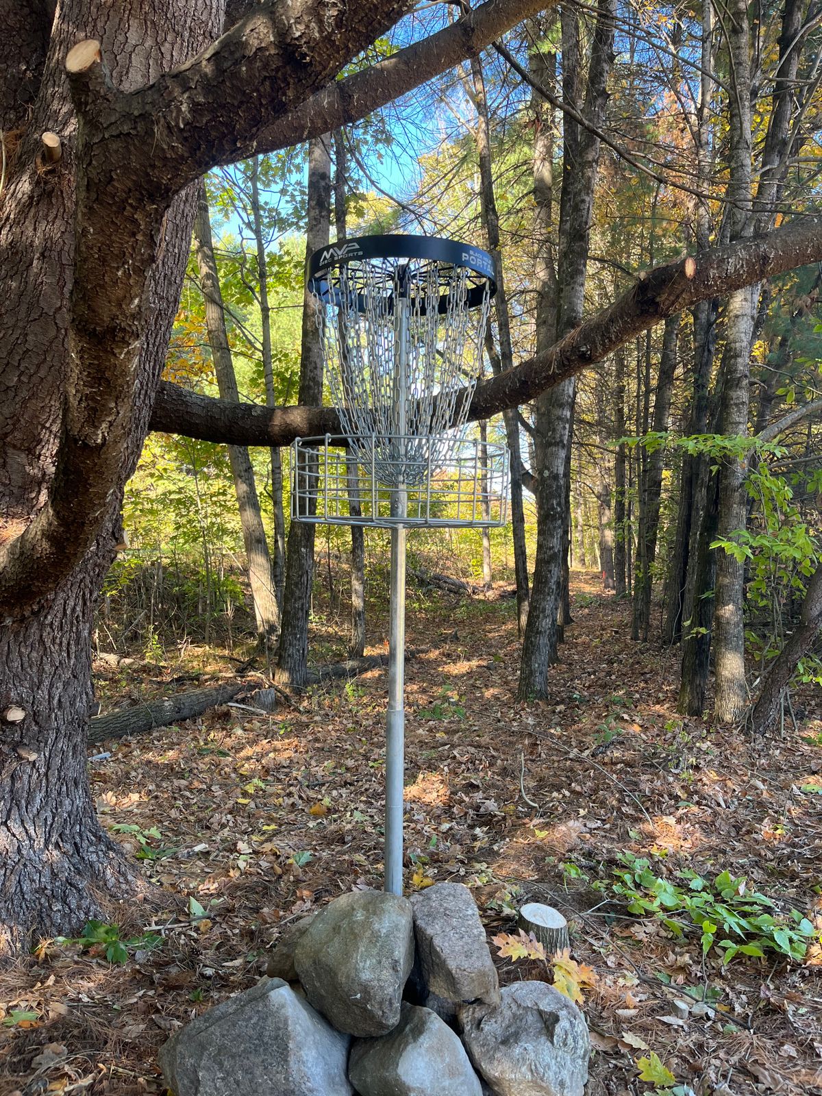 Hole 2 elevated basket