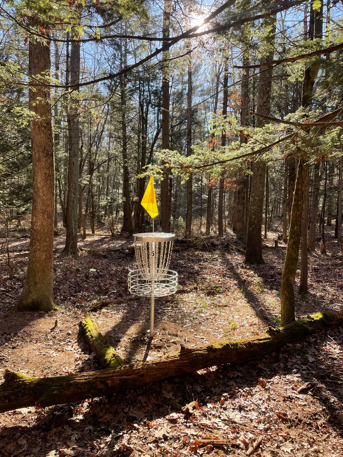 Hole 5 beautiful