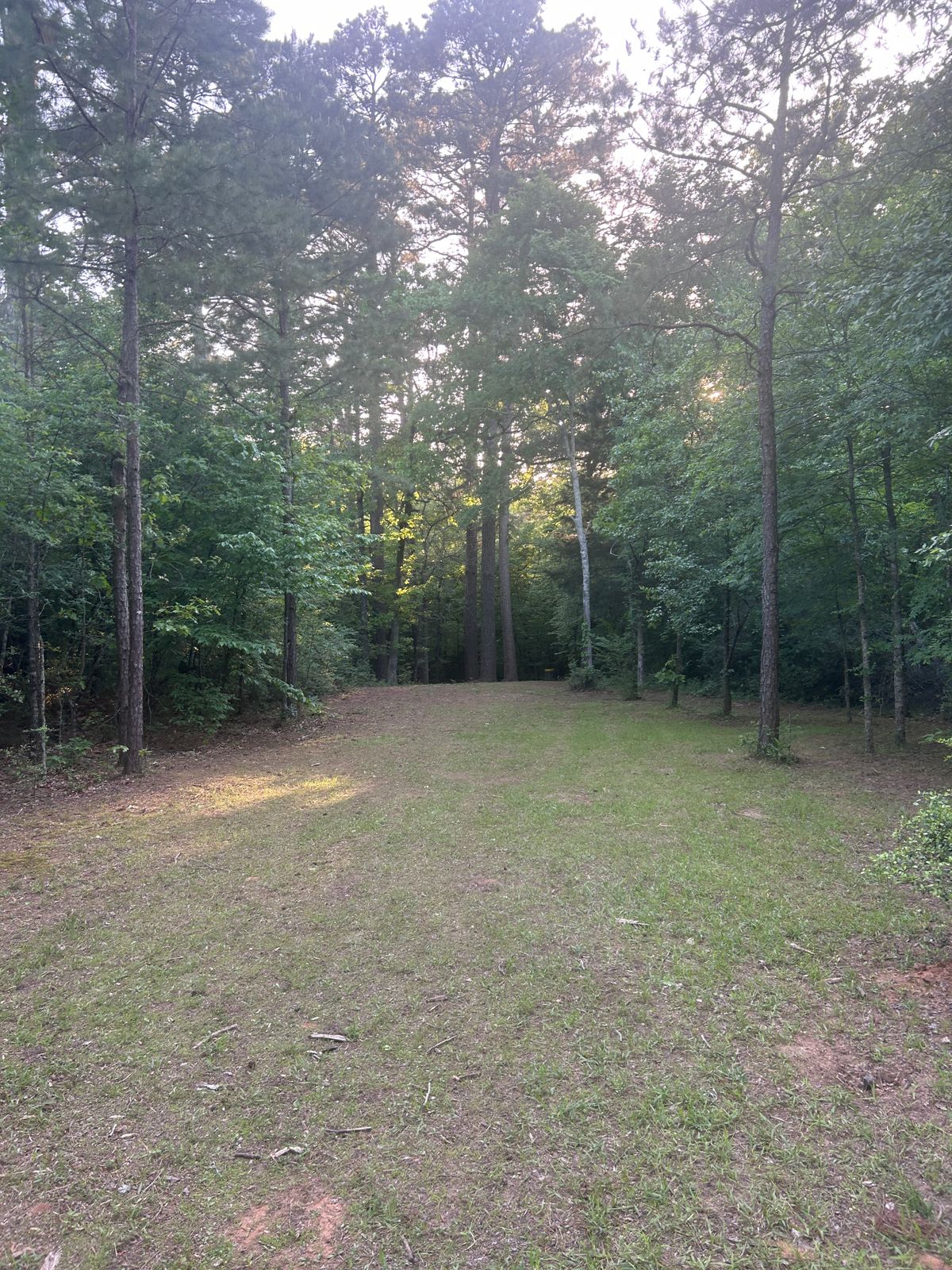 Hole 11s fairway with tucked basket location.