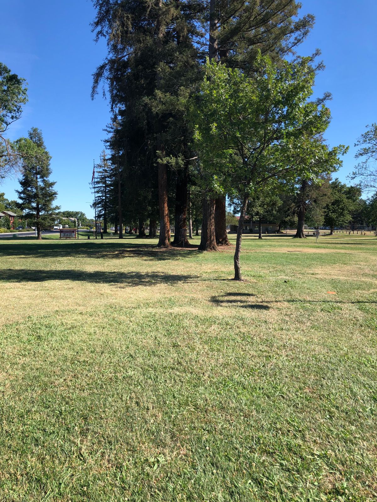 Hole 2 pin (in the grove)