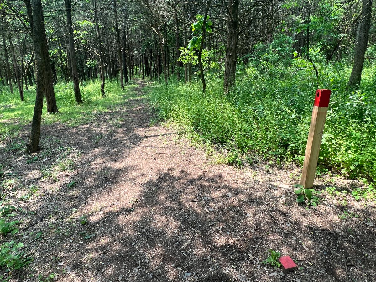 Hole #4