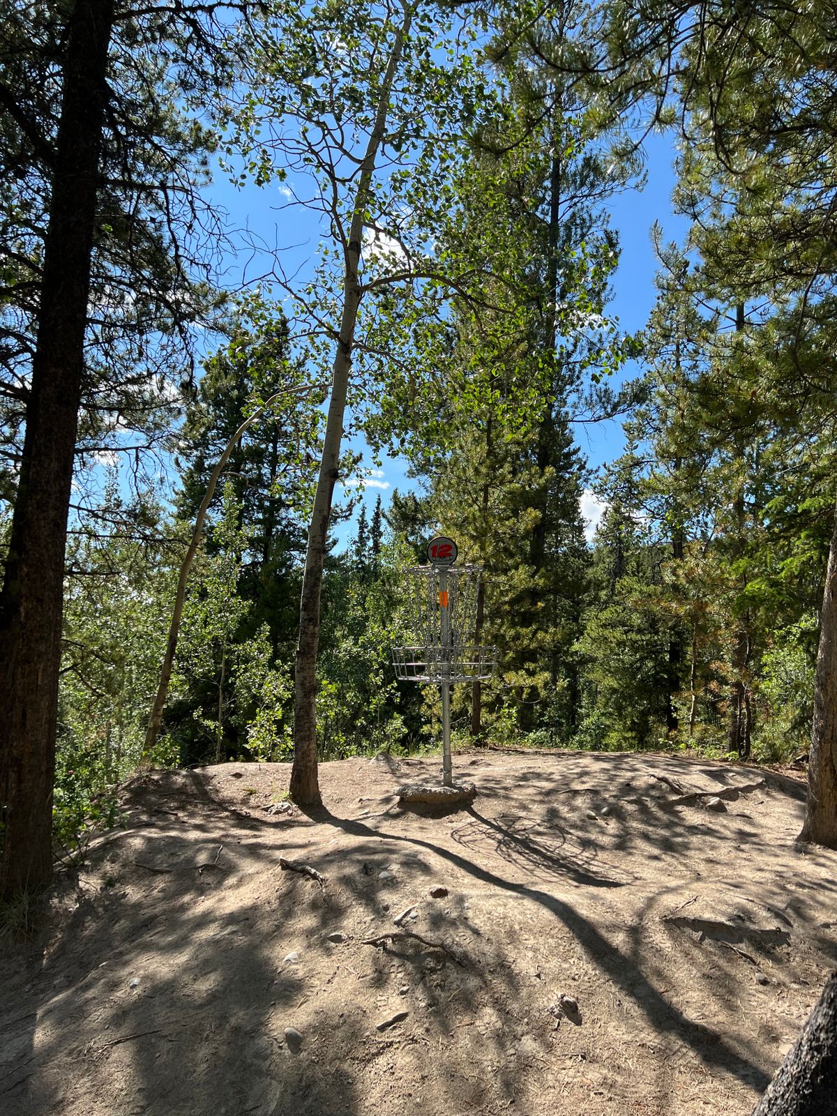 Hole 12 basket