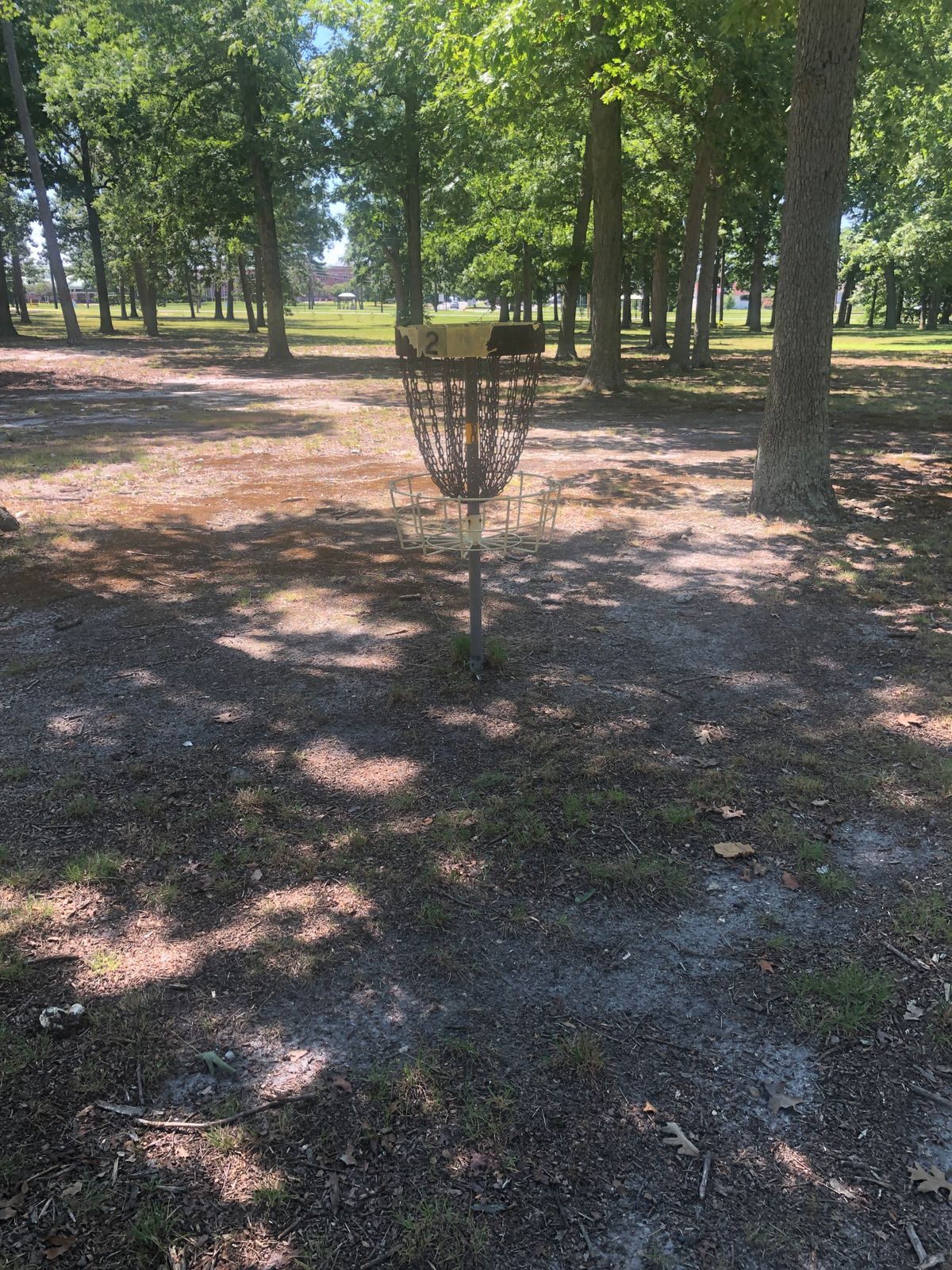 Hole 2 basket.