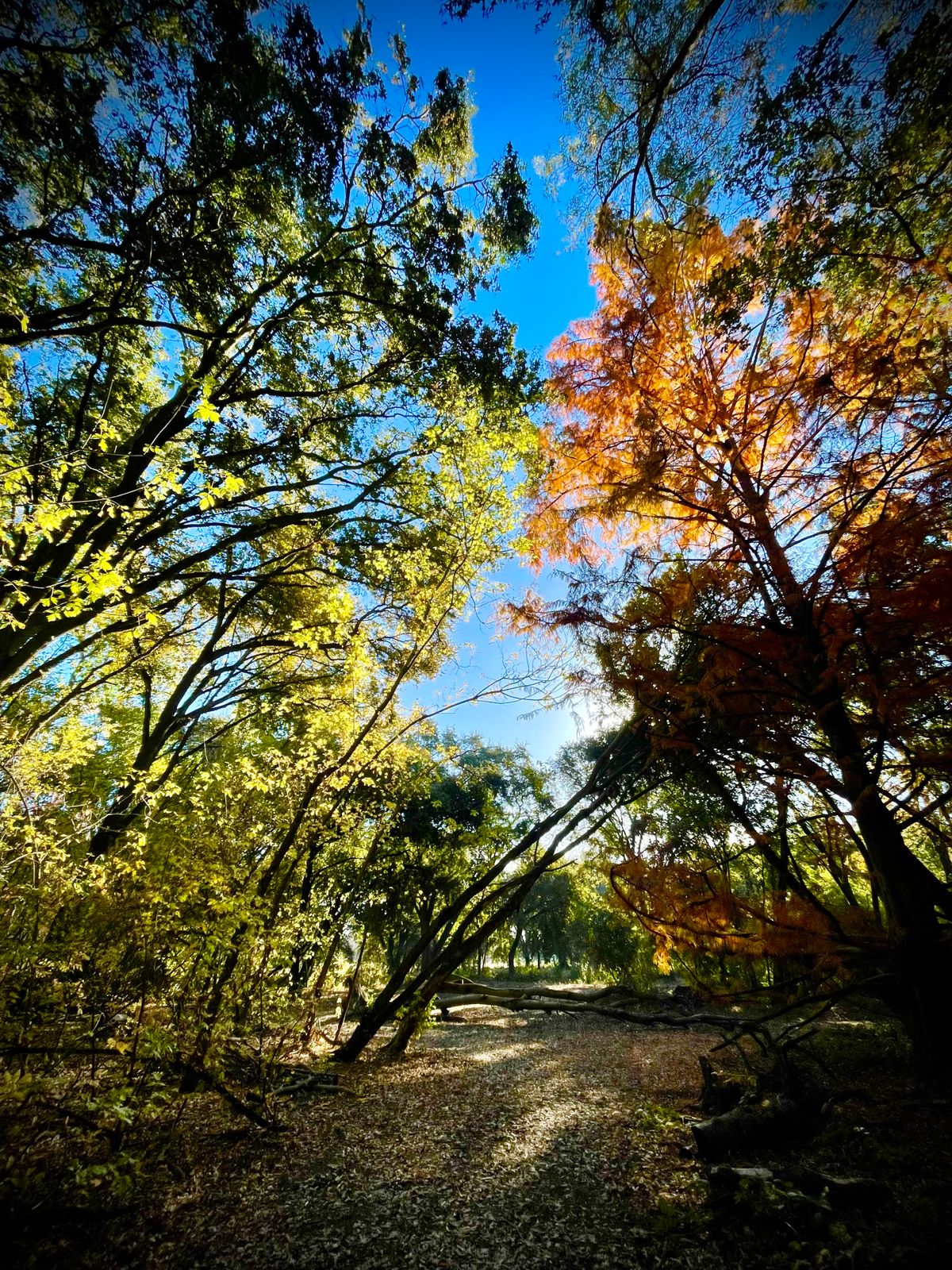 Hole 10 in the fall.