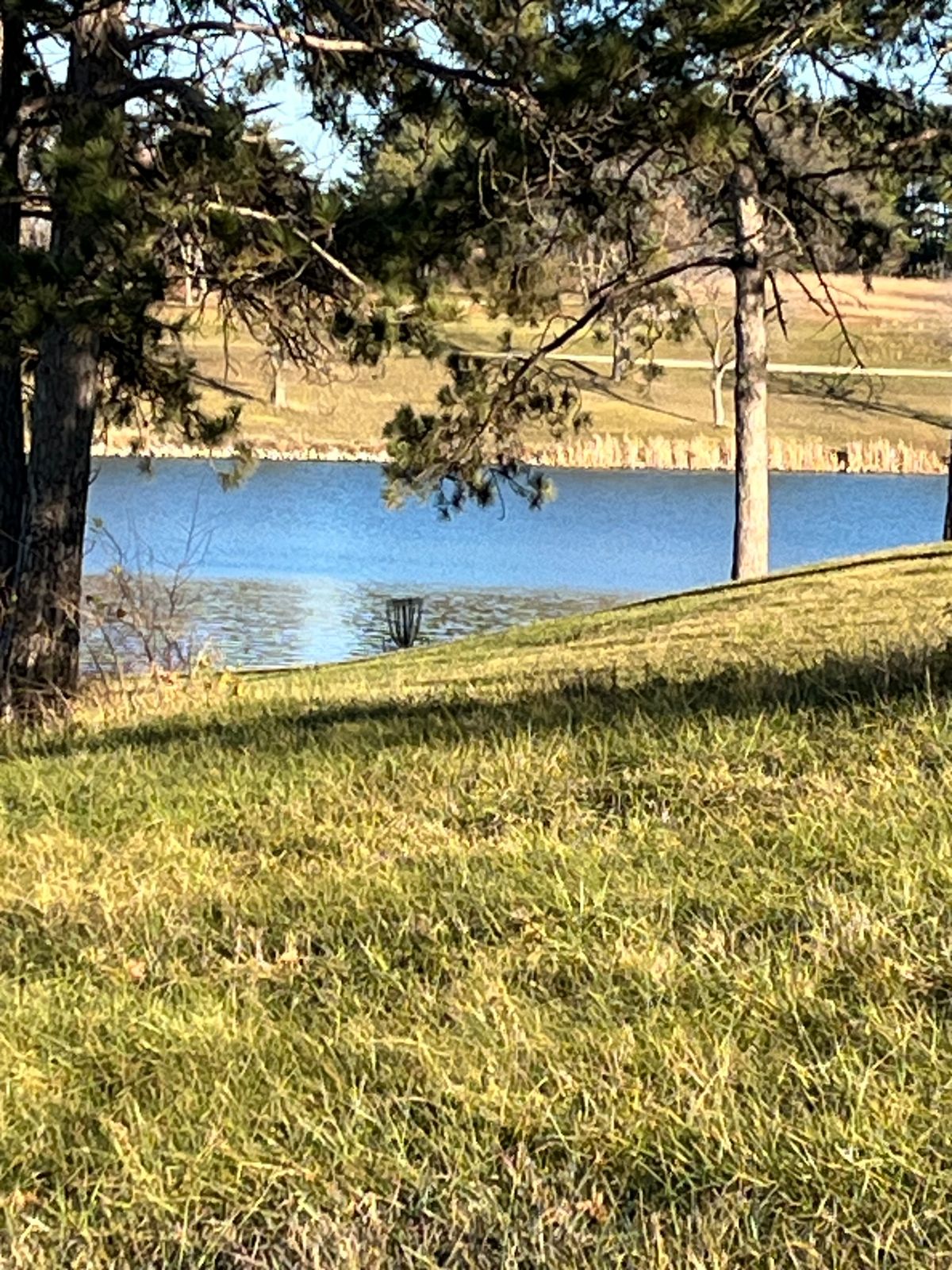 8th Fairway