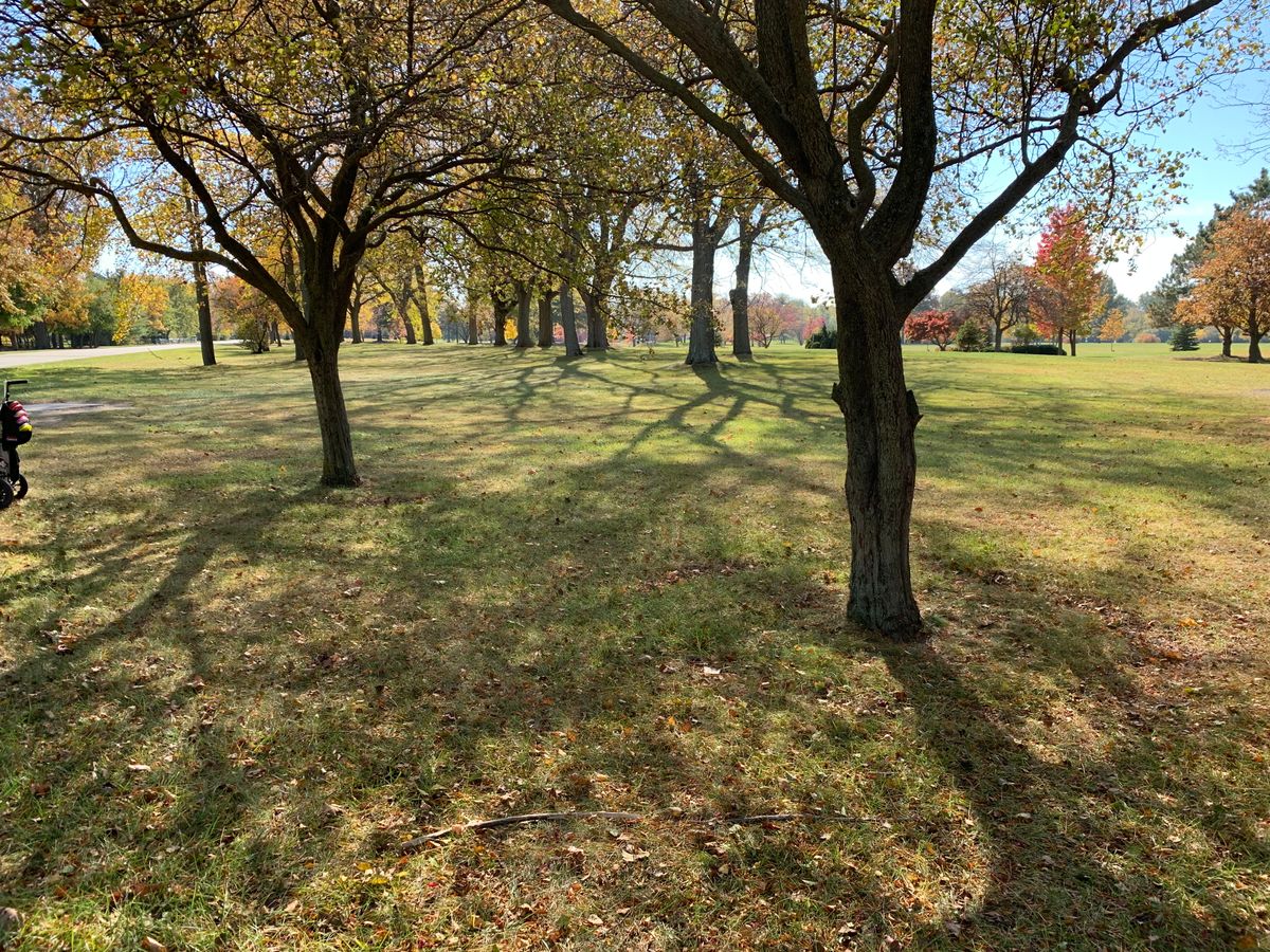 Future long tee location for Hole 5.