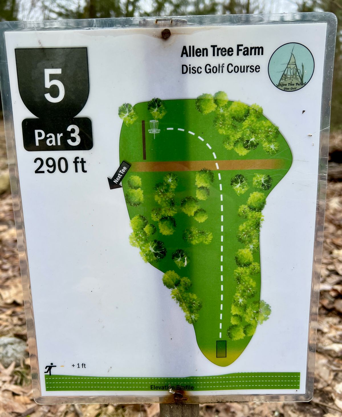 Hole #5