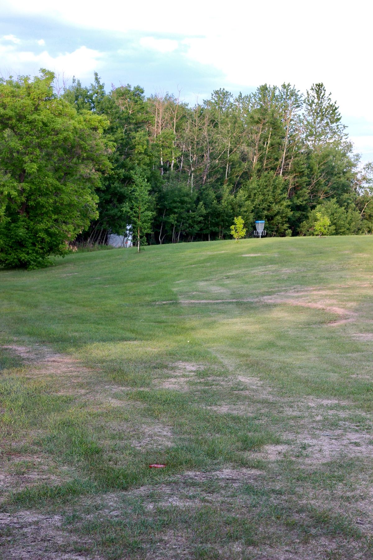 Red Tee - Fairway