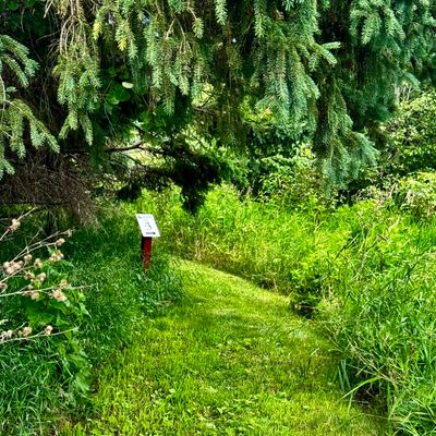 3rd tee