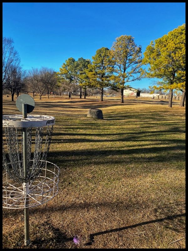 #13 Green looking back to Tee