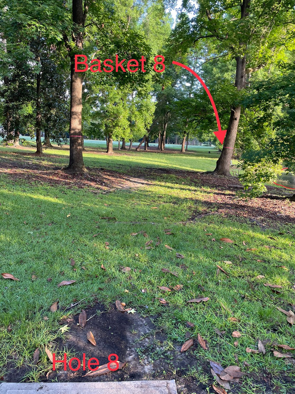 Hole 8 - more visible to the left of the tee.