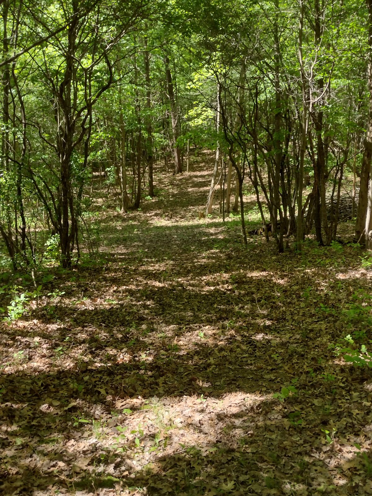 Tee from hole 16