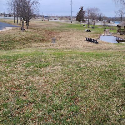 Hole 9, basket is tucked in between the last two trees