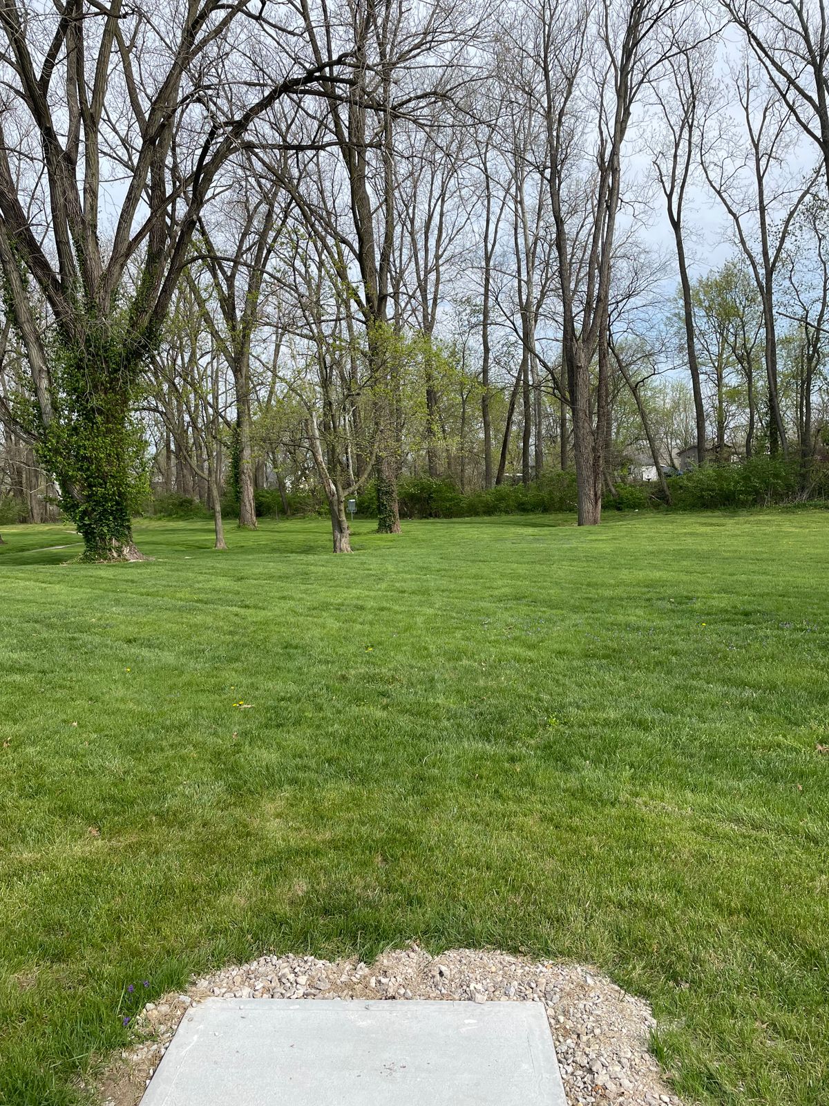 Hole 2 short tee
