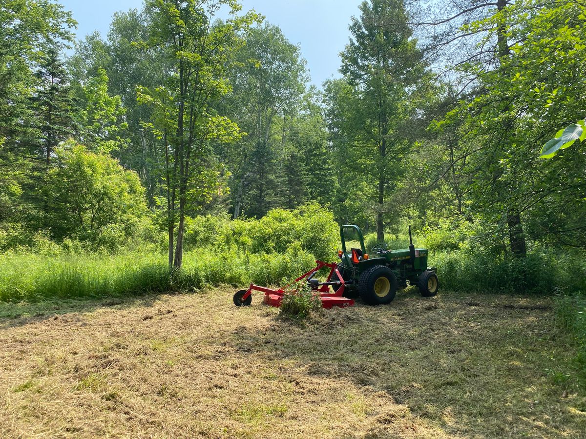 Hole 10 white tees beginning to take shape