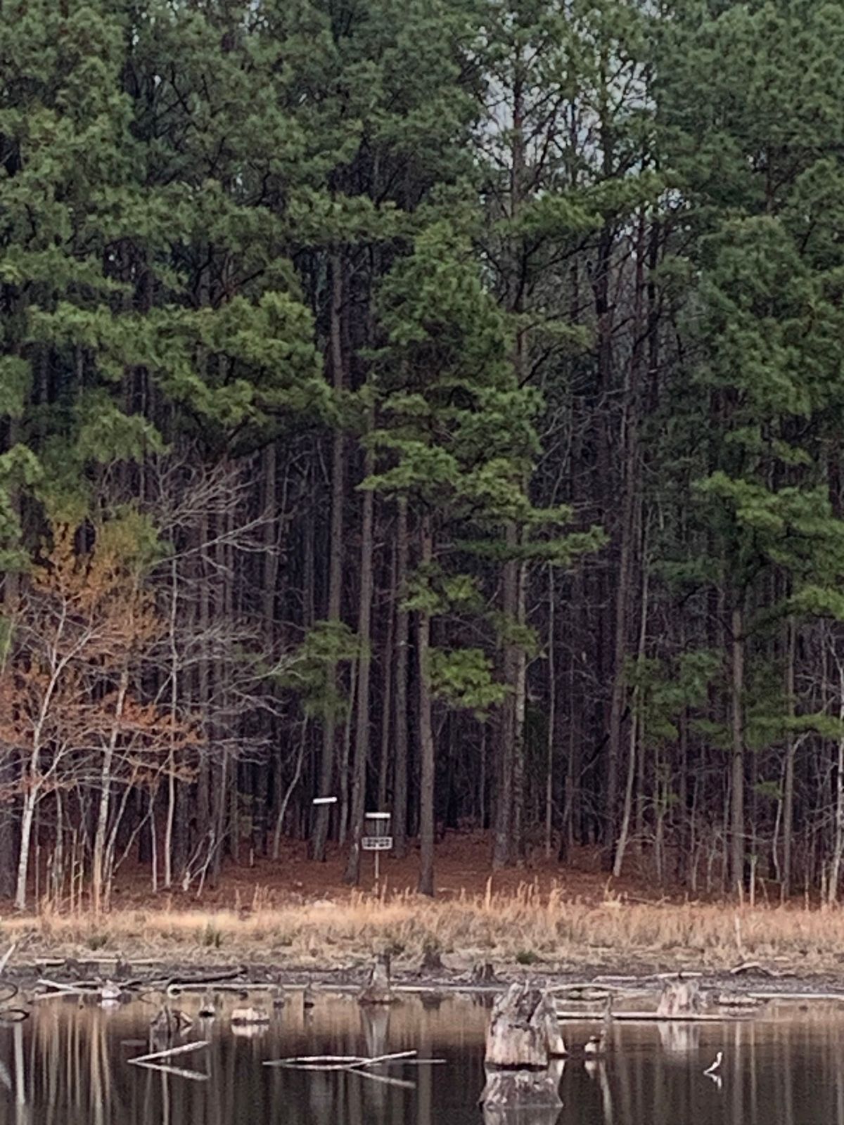 Hole 4 Basket and Green