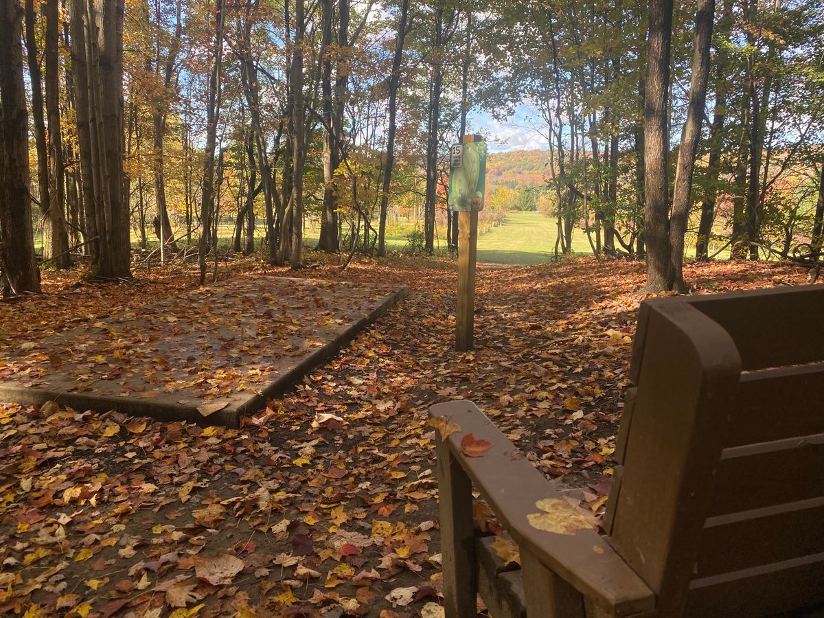 Hole 15 2025 fall