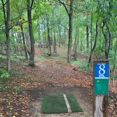 Hole 8
