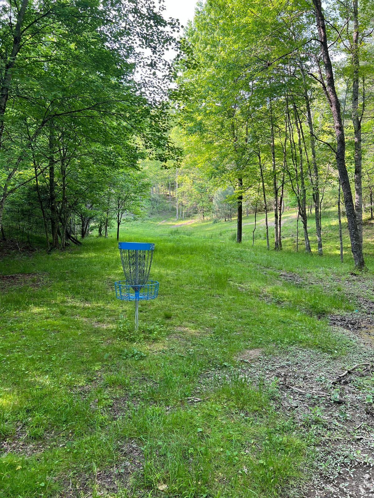 Hole 8 Basket to Tee