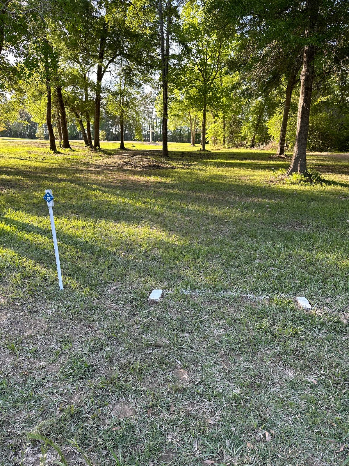 Hole 5 tee