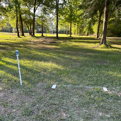 Hole 5 tee