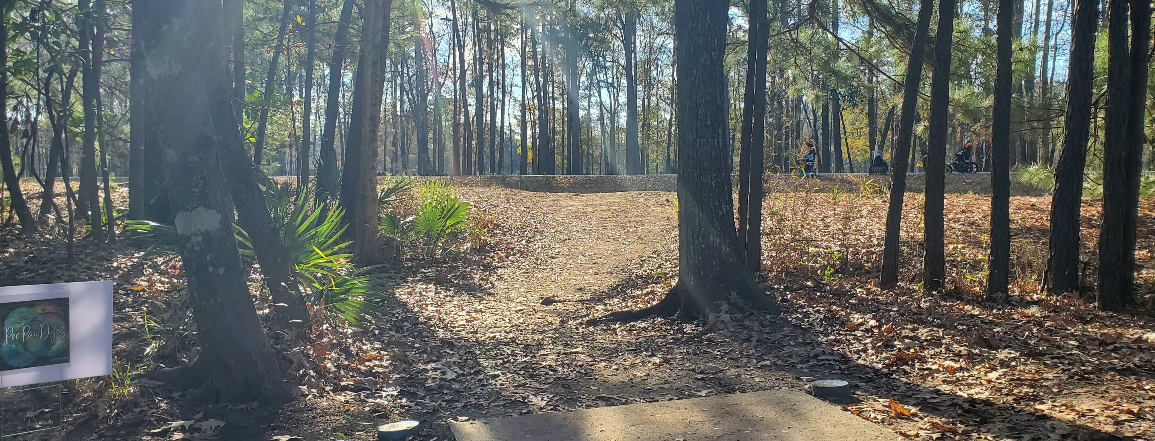 SDGA PDGA Handicap League - SDGA Handicaps League XVI