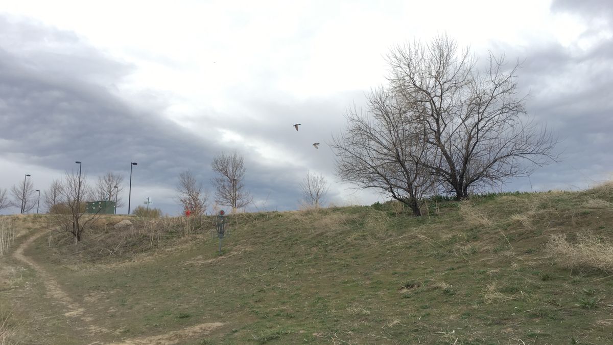 Hole 11