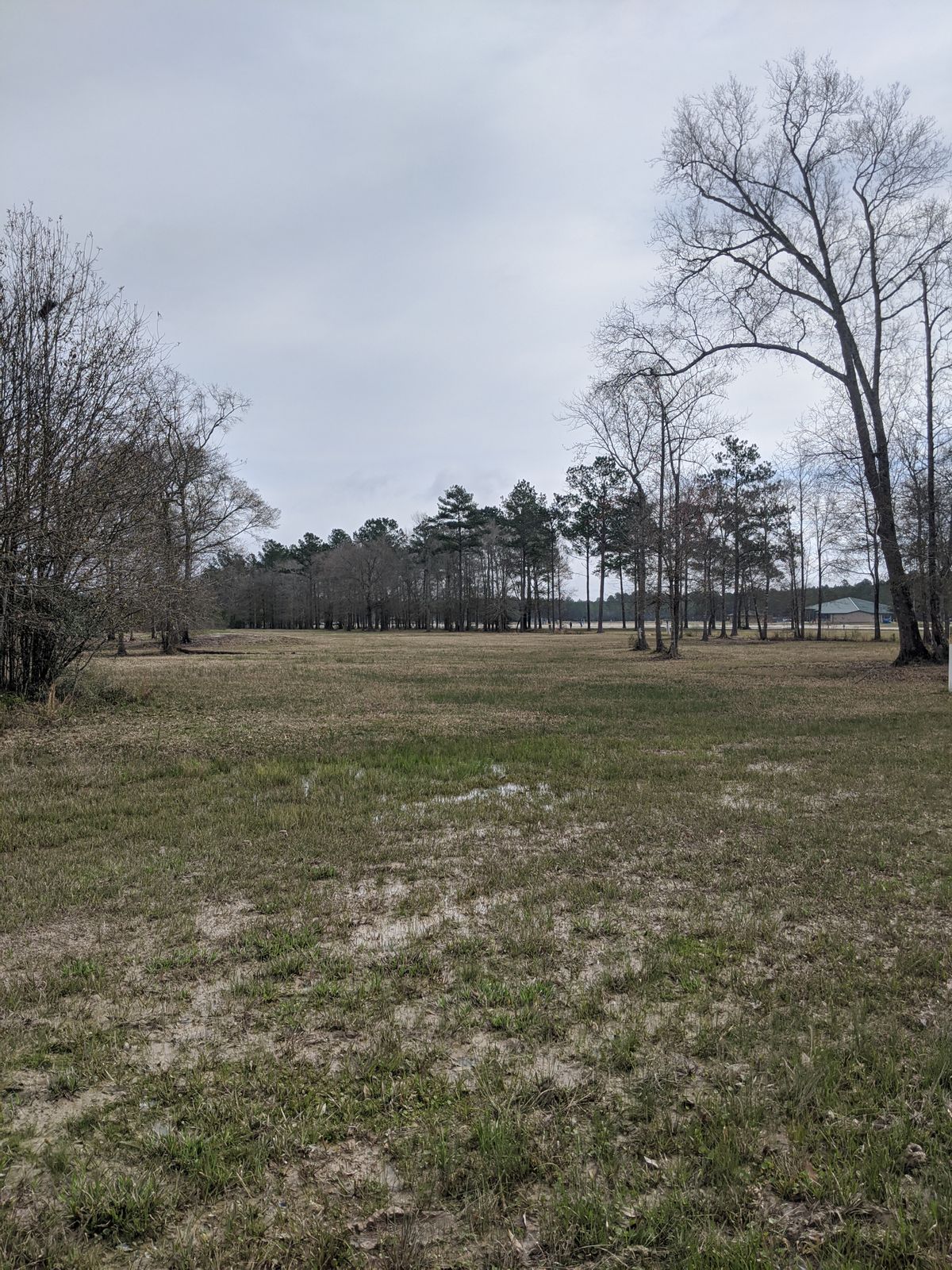 Hole 4 Fairway