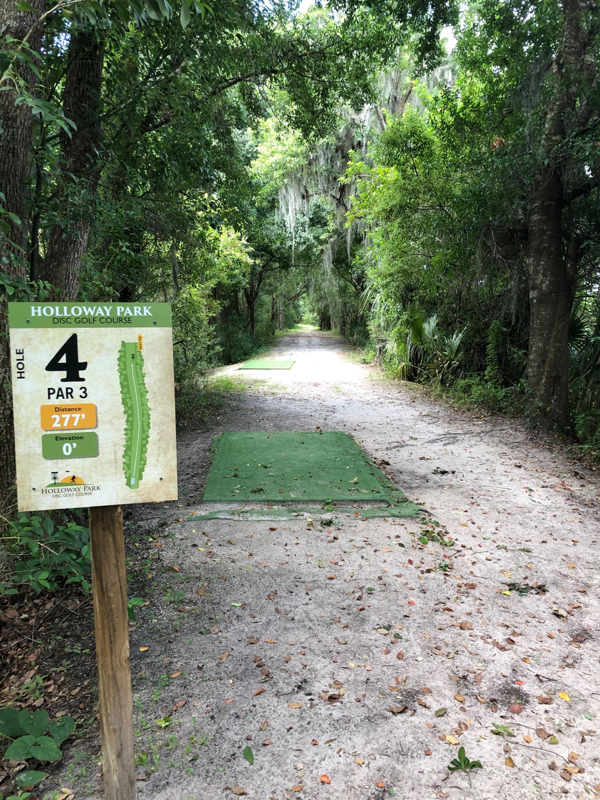 Hole 4 Long Tee Pad