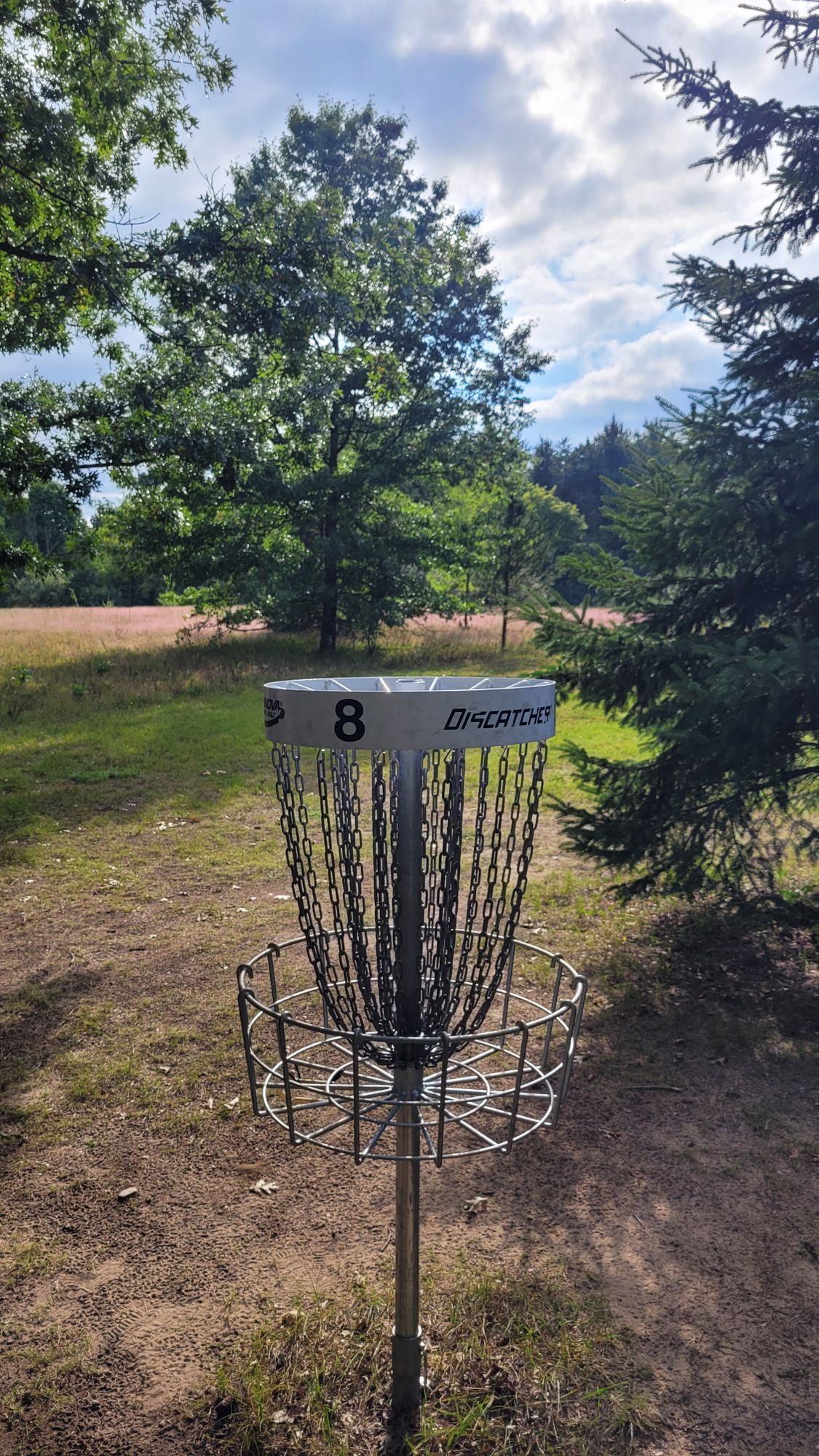 Hole 8 Basket