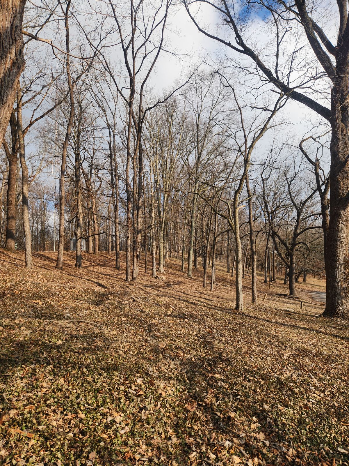 Hole 16