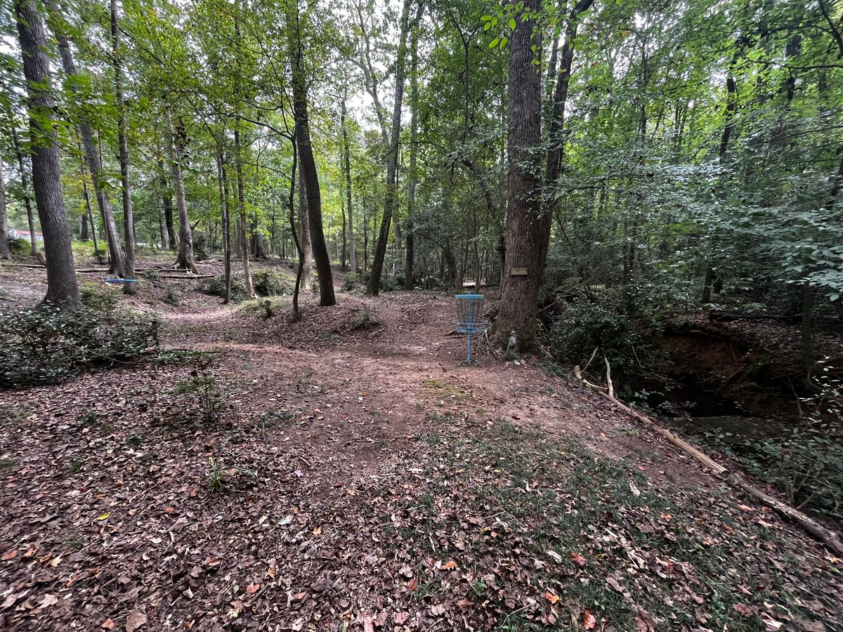 Basket of 7. Also used on 13 and 16.