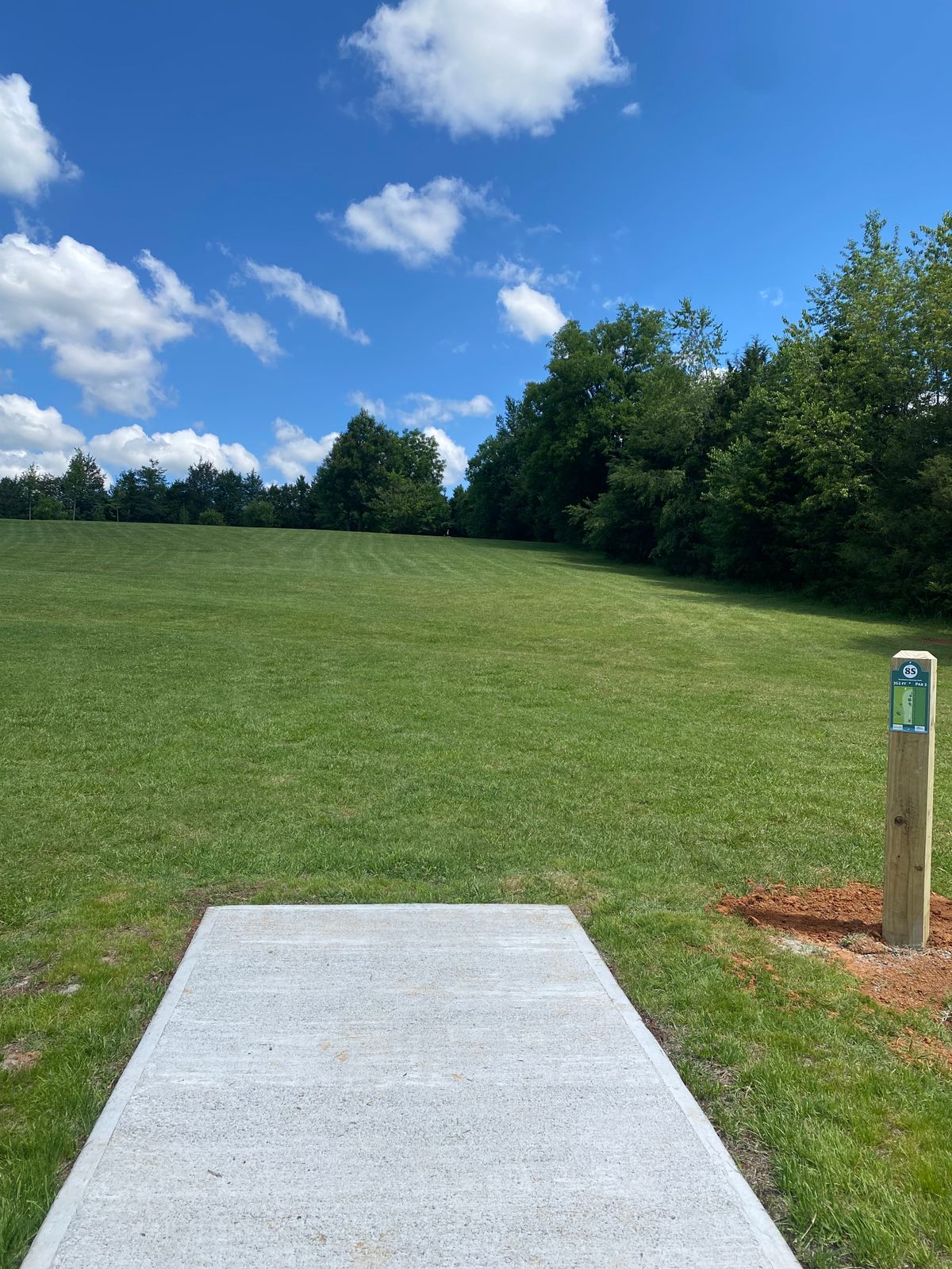 Hole #8 Short Tee Box