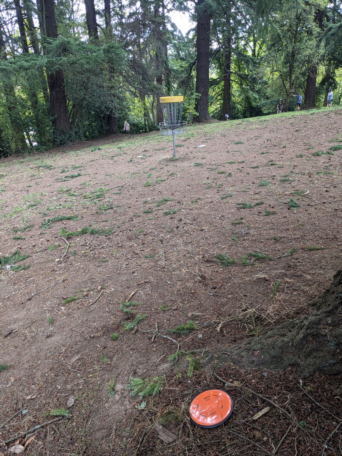 Hole 8