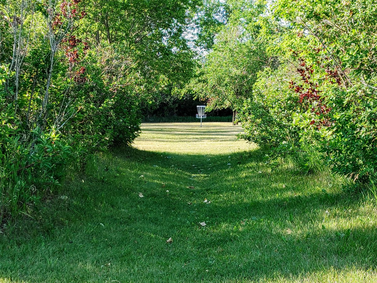 Hole 4 Tee