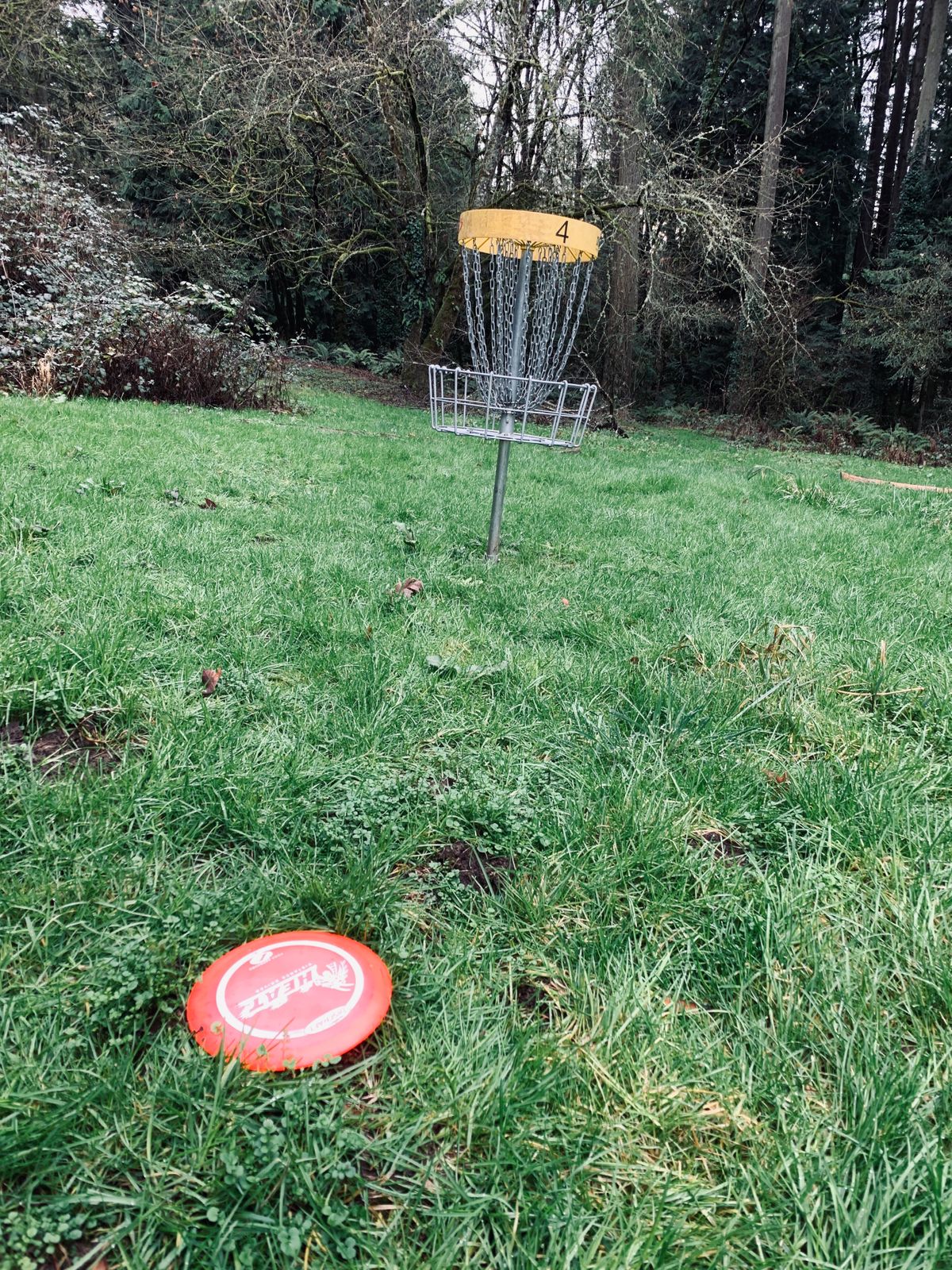 4th basket first throw
