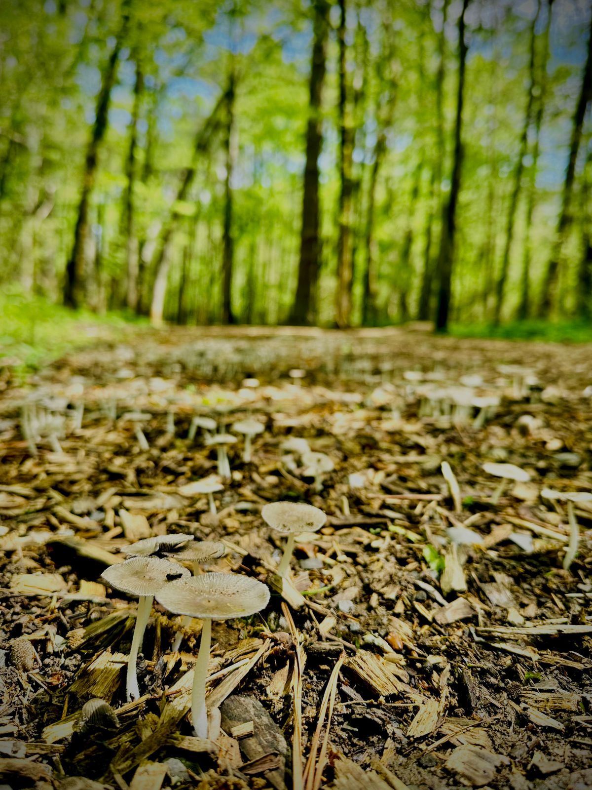 Hole 8