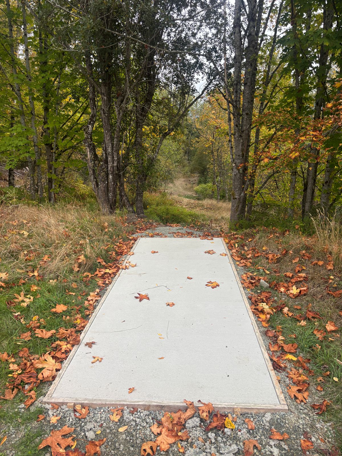 Blue tee pad hole 1
