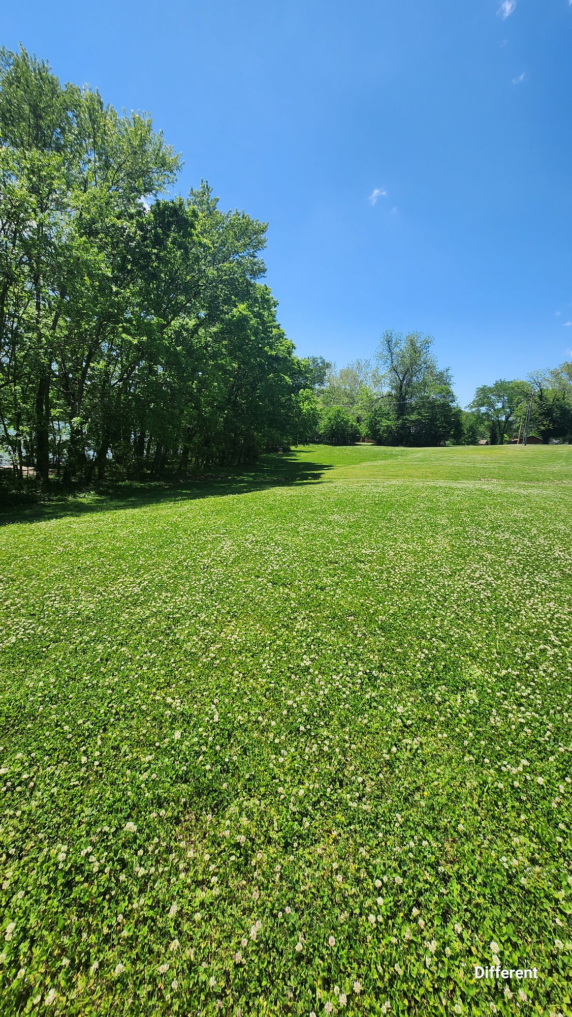 Hole 3, basket in view