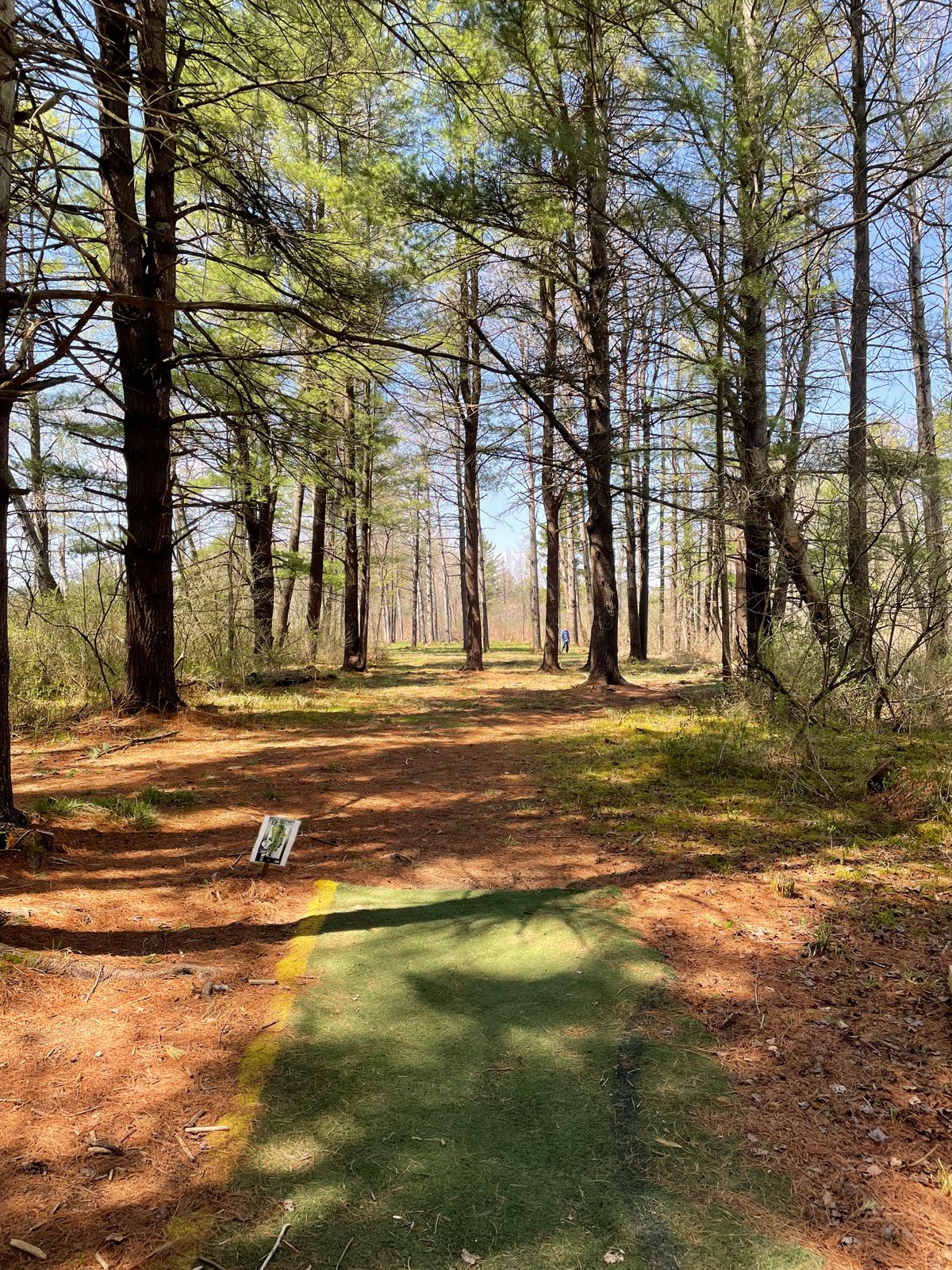 Hole 7, Blue (Long) tee.